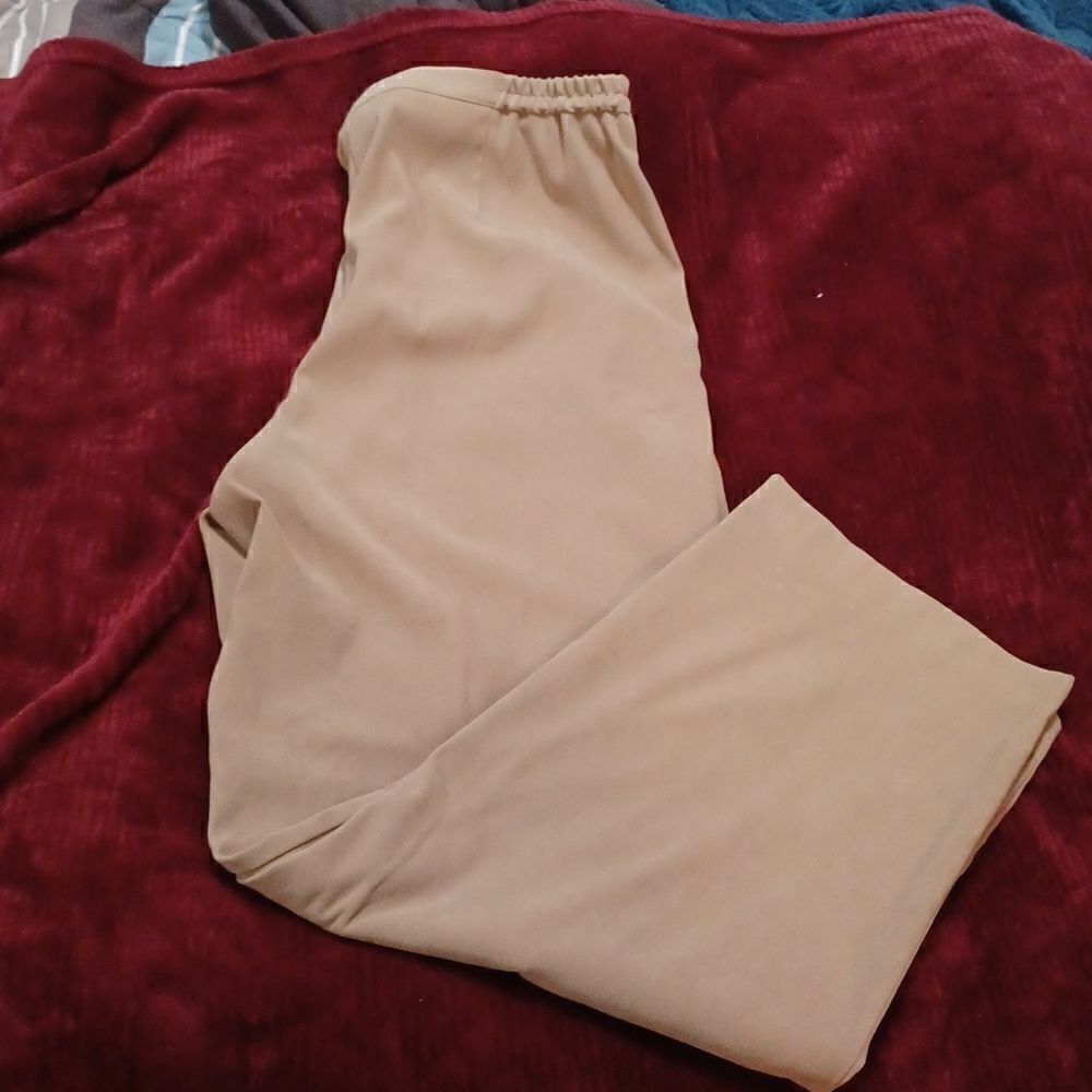 JM Collection Tan Slacks - Picture 6 of 6